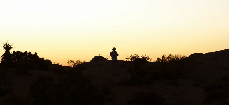 JoshuaTree