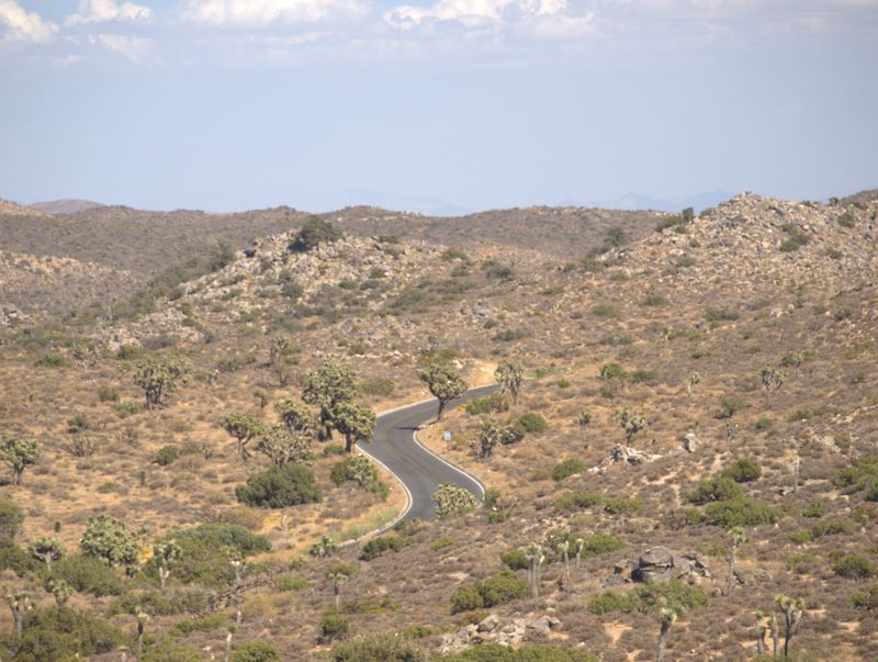 JoshuaTree