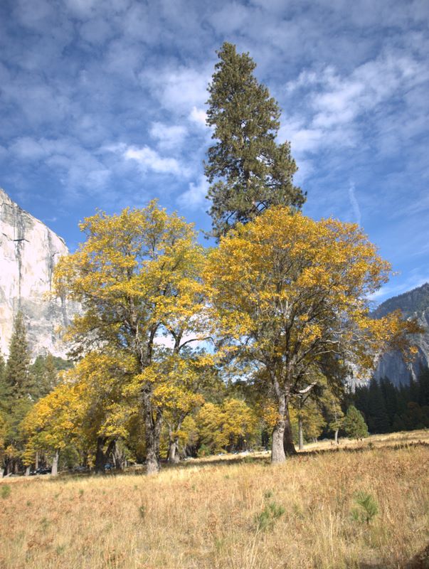2009-10-Yosemite